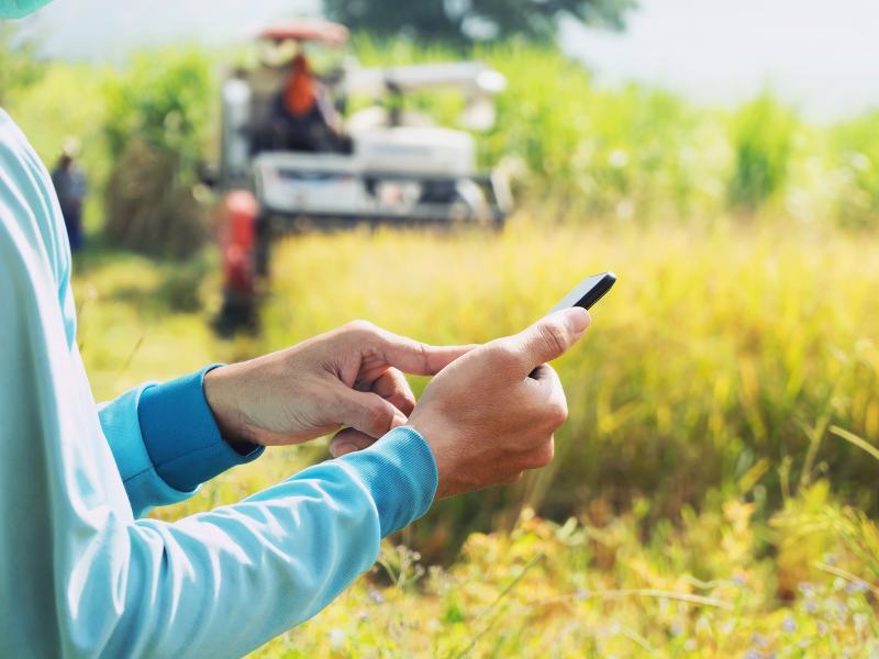 Essential Mobile Optimization Goes Way Beyond an Audit