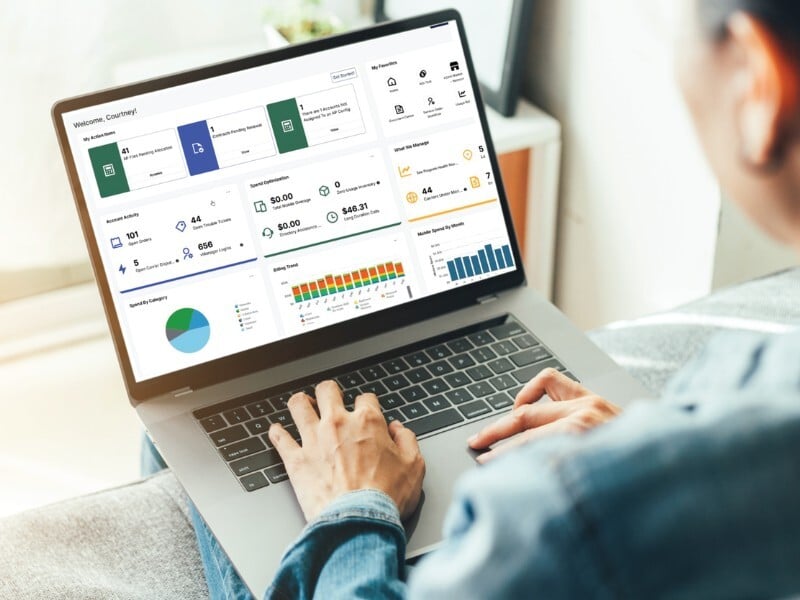 IT Management Software ULM platform experience
